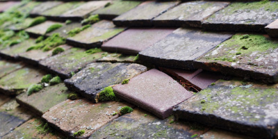 Newcastle roof repair costs